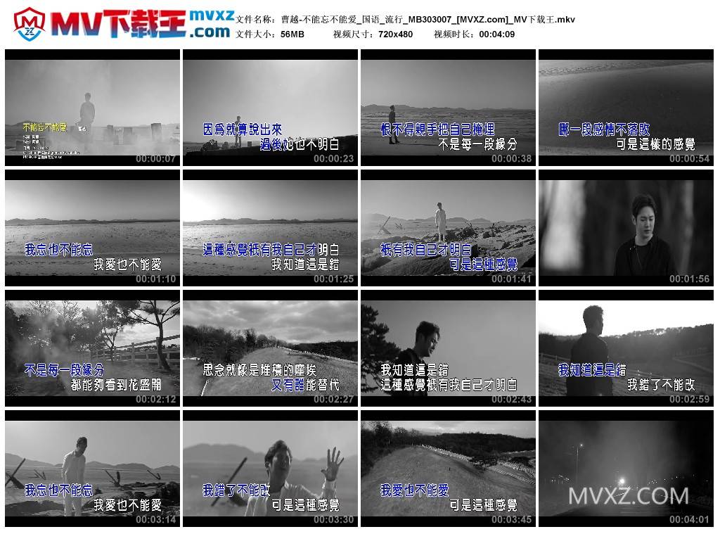 曹越-不能忘不能爱_国语_流行_MB303007